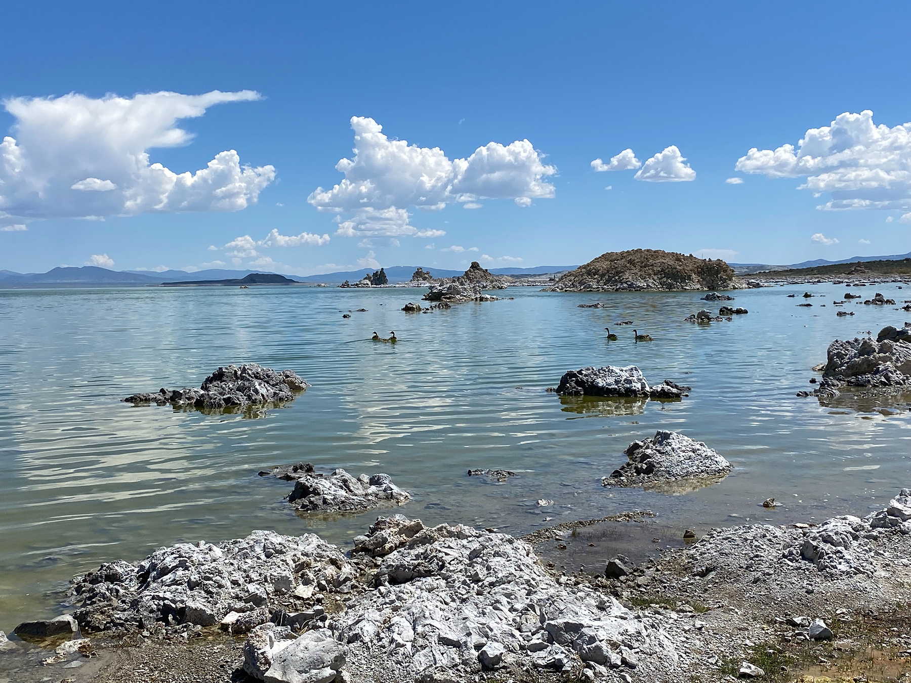 View of Mono Lake from the southwestern shore on May 20, 2023. (Photograph by Cathy Cardno on Unsplash)